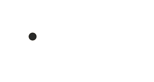 Birdie’s Fried Chicken & Burger